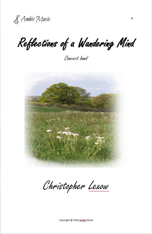 Reflections Reflections of a Wandering Mind